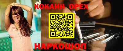 гашик Донской
