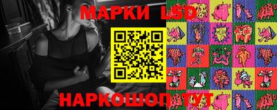 гашик Донской