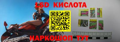 гашик Донской