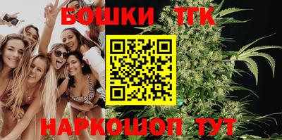 гашик Донской