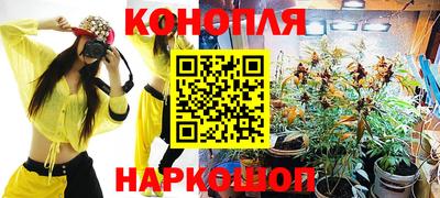 гашик Донской