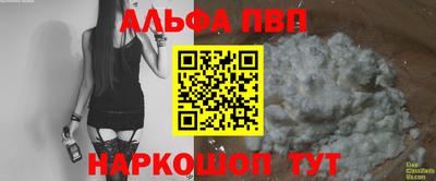 гашик Донской