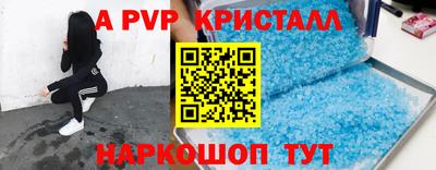 гашик Донской