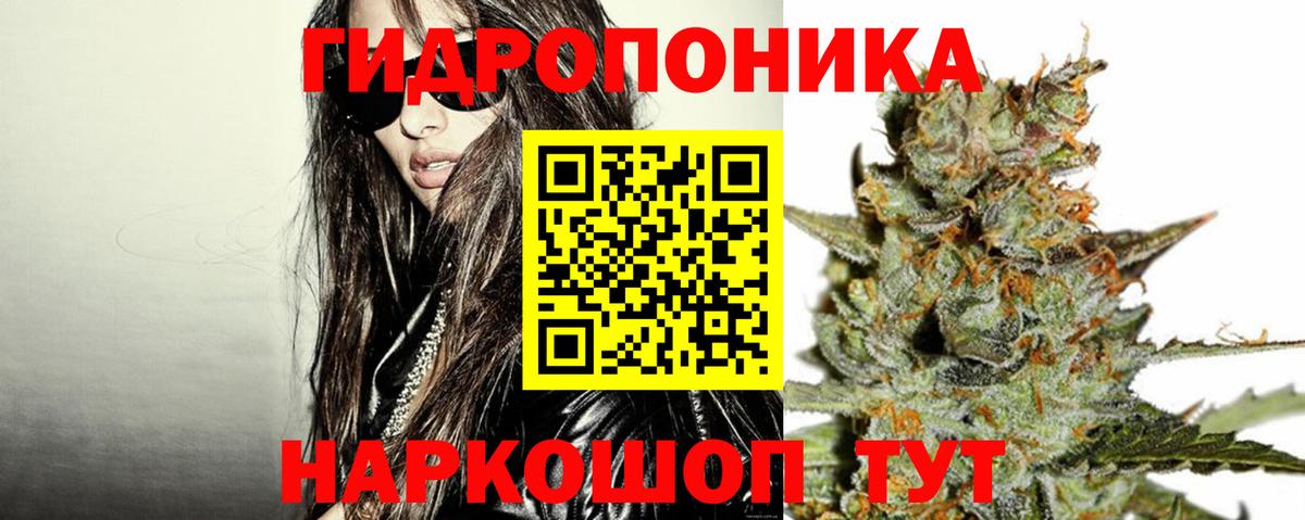 Конопля планчик Мыски
